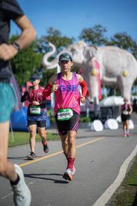 BIB: 
                            <button type="button" onclick="openModal(26543140)" class="btn btn-primary btn-sm float-right btn-popup" data-toggle="modal" data-target=".modal-high-quality">
                        <i class="fas fa-shopping-cart"></i> Add to Cart
                    </button>
                                            <button type="button" onclick="isThisMe(26543140, true)" class="btn btn-success btn-sm float-right btn-popup btn-isme hidden" data-toggle="tooltip" data-placement="bottom" title="นี่คือรูปของคุณใช่ไหม คลิกที่นี่เพื่อเอาเข้าอัลบั้ม">
                        <i class="fas fa-plus"></i> Add to album
                    </button>
                    <button type="button" onclick="isThisMe(26543140, false)" class="btn btn-warning btn-sm float-right btn-popup btn-isnotme hidden">
                        <i class="fas fa-ban"></i> Remove from album
                    </button>